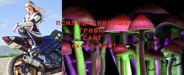 эйфоретик Алзамай