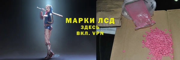 эйфоретик Алзамай