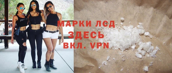 индика Новозыбков
