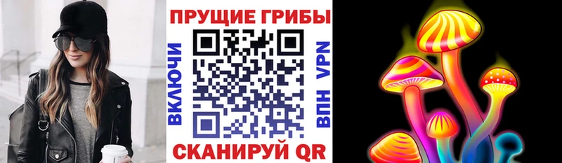 darknet как зайти  Томмот  Галлюциногенные грибы мухоморы 